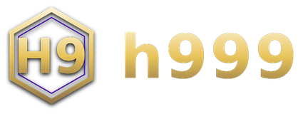 h999 logo